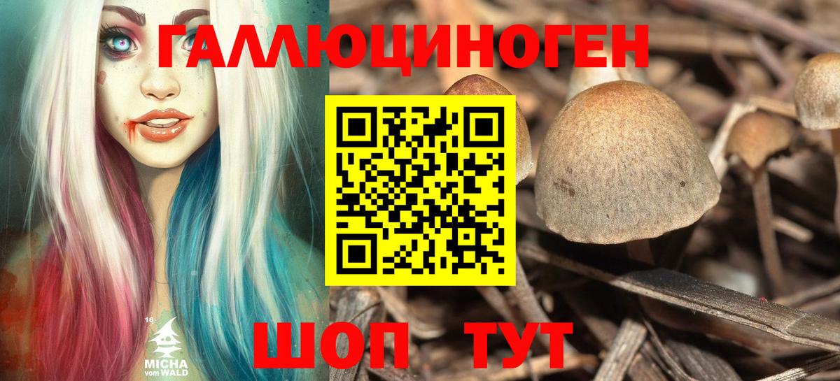 Псилоцибиновые грибы MAGIC MUSHROOMS  Вход с VPN  Кисловодск 