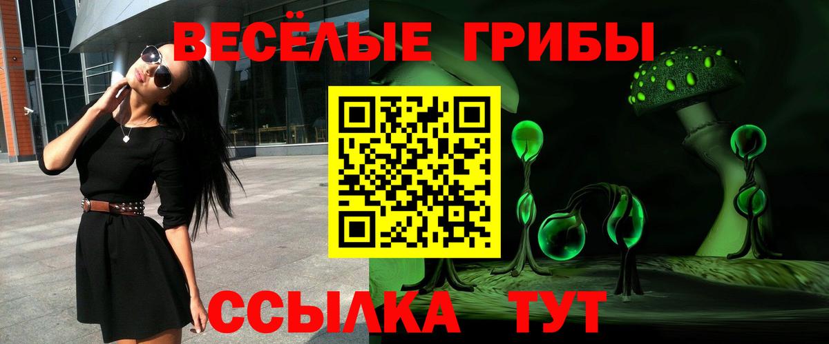 Галлюциногенные грибы Psilocybe Кисловодск
